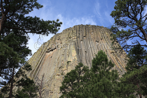 Devils Tower Amongst the Trees
