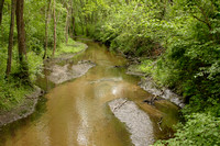 Quiet Creek