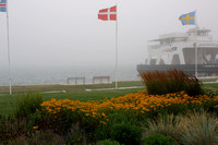 Foggy Detroit Harbor