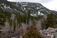 Spring Ridge View