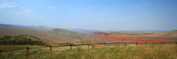Red Canyon, 15" x 5" Panorama Print