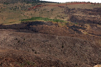 North Side of Sinks Canyon after Wildfire