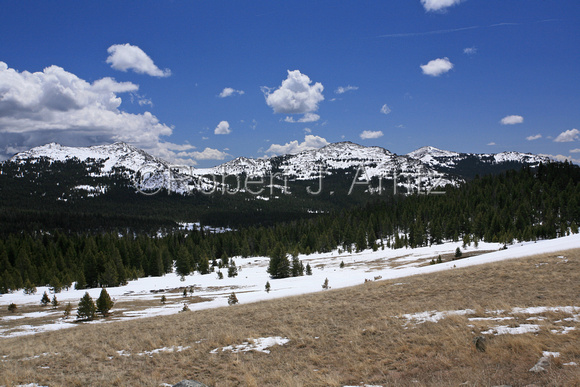 View from Powder River Pass-Elevation 9,677'