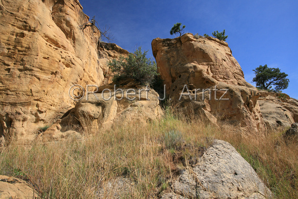 Rock Outcroppings