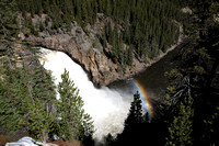 Yellowstone River Upper Falls with Rainbow