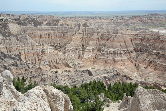 Detail of Pinnacles Overlook