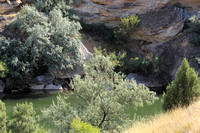 Rocks and Trees along the Big Horn River