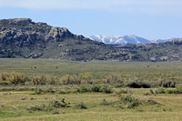 Prairie with Mountians