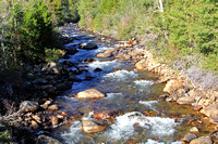 Popo-Agie River Rapids