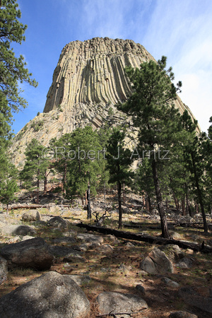 Devils Tower Above the Trees