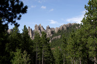 Granite Peaks amongst the Trees