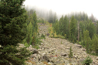 Foggy Trail View near Jenny Lake