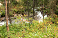 Creek near Jenny Lake