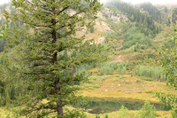 Moose Pond near Jenny Lake-2