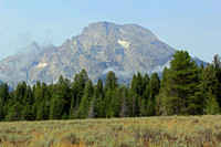 Mount Moran above the Pines