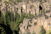 Trees and Shell Canyon Walls