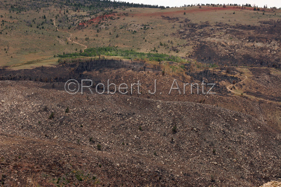 North Side of Sinks Canyon after Wildfire