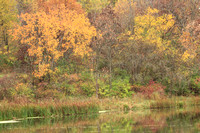 Lakeside Autumn