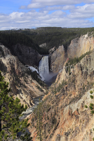 Lower Falls and Yellowstone River