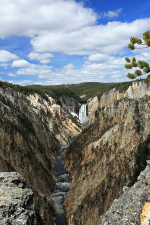 Grand Canyon of the Yellowstone Vertical View