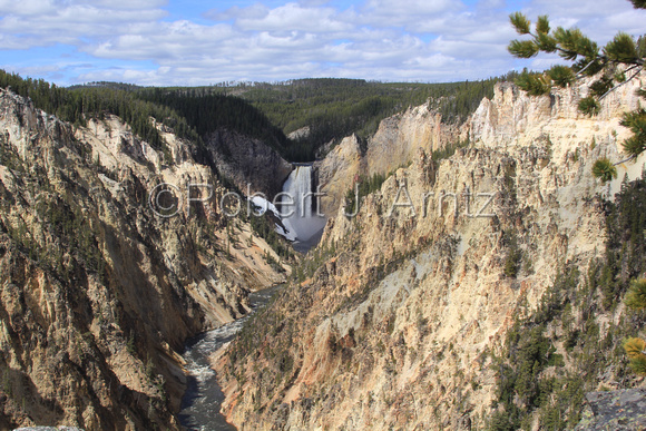 Grand Canyon with Lower Falls and Yellowstone River