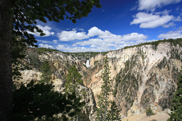 Wide View Of Grand Canyon of the Yellowstone