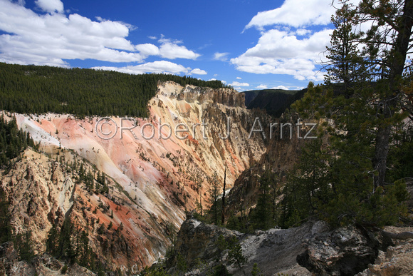 Wide Opposite View of Grand Canyon of the Yellowstone