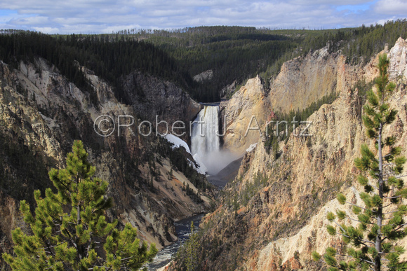 Detail of Grand Canyon of the Yellowstone plus Lower Falls