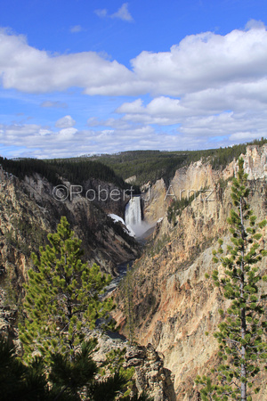Vertical View of Grand Canyon of the Yellowstone