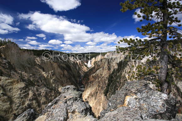 Wide Grand Canyon of the Yellowstone