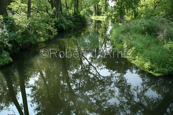 Creek Reflections