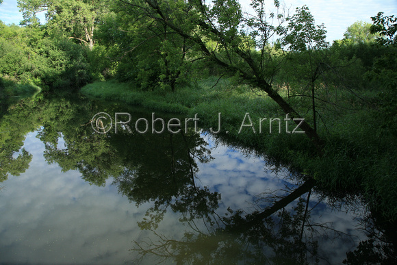 Calm Creek Reflections