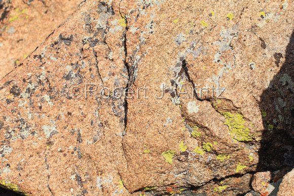 Rock Detail-1