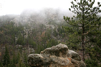Foggy view from Needles Highway