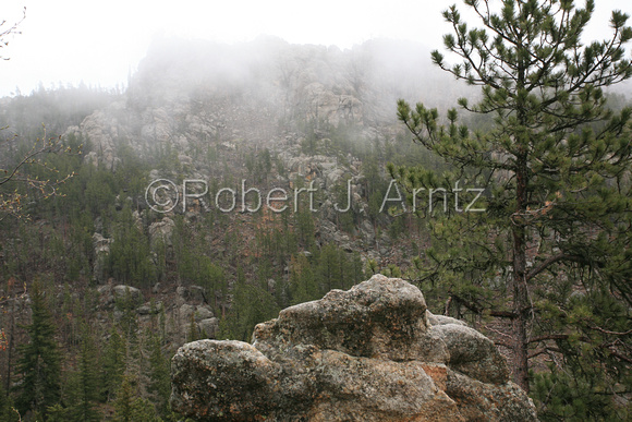 Foggy view from Needles Highway