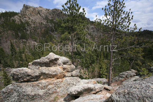 Foreground Boulders and Pines