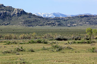 Prairie with Snow Covered Distant Mountian