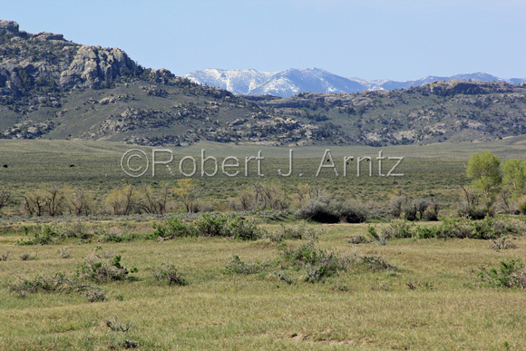 Prairie with Snow Covered Distant Mountian