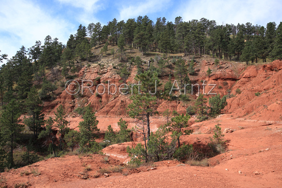 Curving Red Cliffs